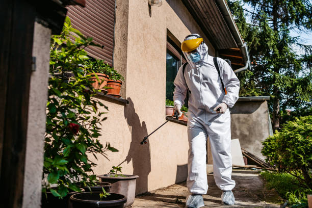 Best Best Pest Control Companies  in East Gaffney, SC