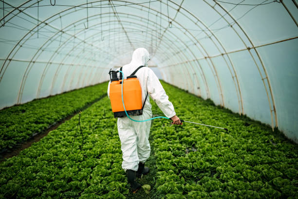 Best Affordable Pest Control Services  in East Gaffney, SC